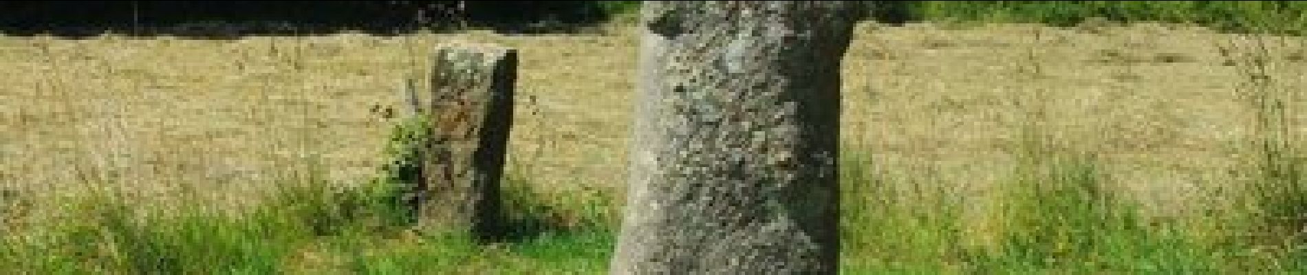 Tocht Stappen Pleumeur-Bodou - Circuit des Menhirs et dolmens - Pleumeur-Bodou - Photo