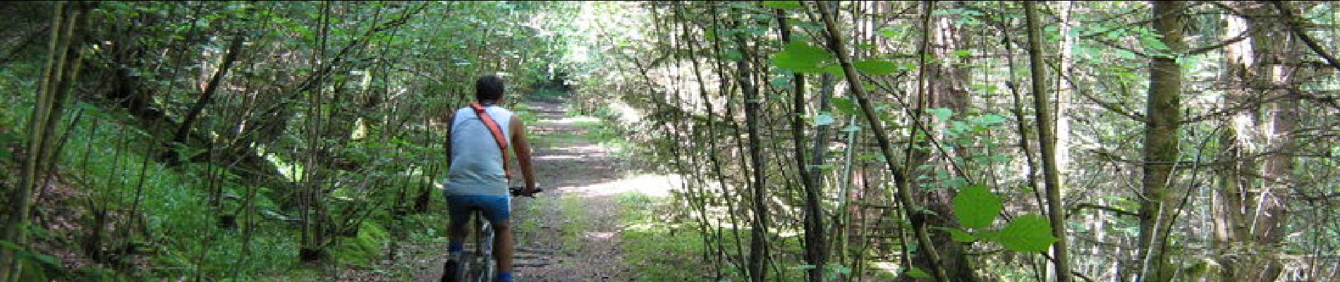 Tour Mountainbike Saint-Étienne-aux-Clos - Lémovices ou Arvernes - Saint Etienne aux Clos 12,5 km- Pays de Haute Corrèze - Photo