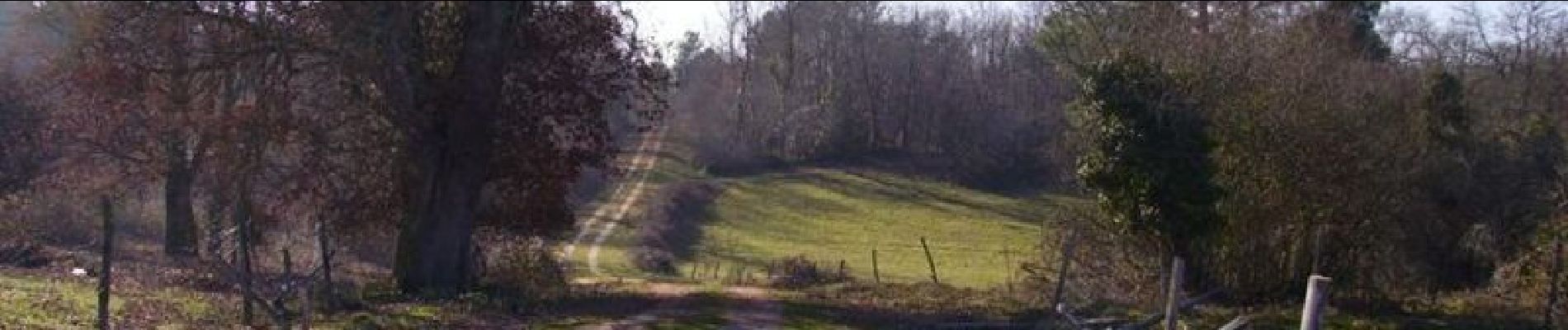 Tour Pferd Rioux-Martin - Circuit de la Belle Eau - Rioux-Martin - Photo