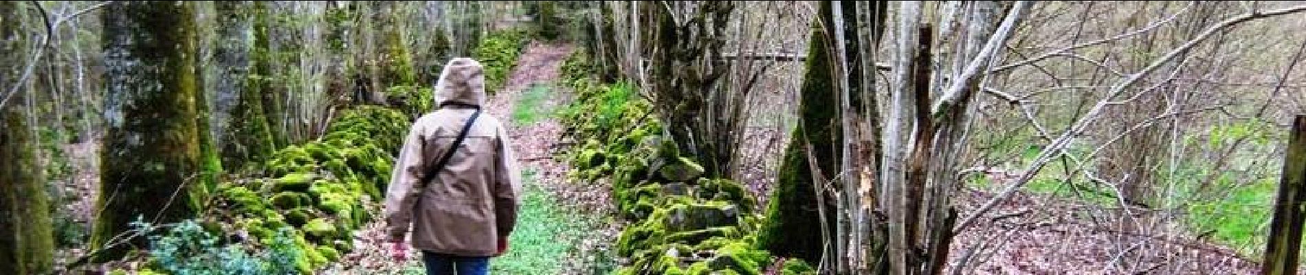 Trail Walking Mestes - La Bujada - Mestes - Pays de Haute Corrèze - Photo