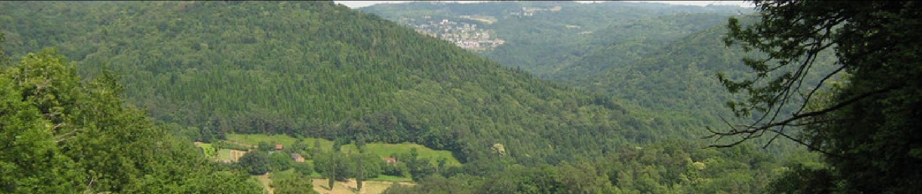 Trail Walking Saint-Hilaire-Peyroux - Des vergers aux berges de la Corrèze - Saint Hilaire Peyroux - Pays de Tulle  - Photo