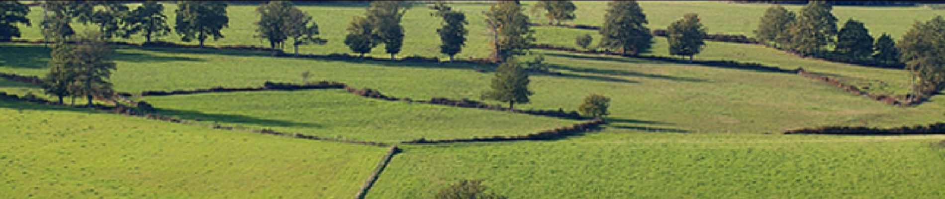 Tour Wandern Châteauponsac - Le sentier de Chênepierre - Chateauponsac  - Photo