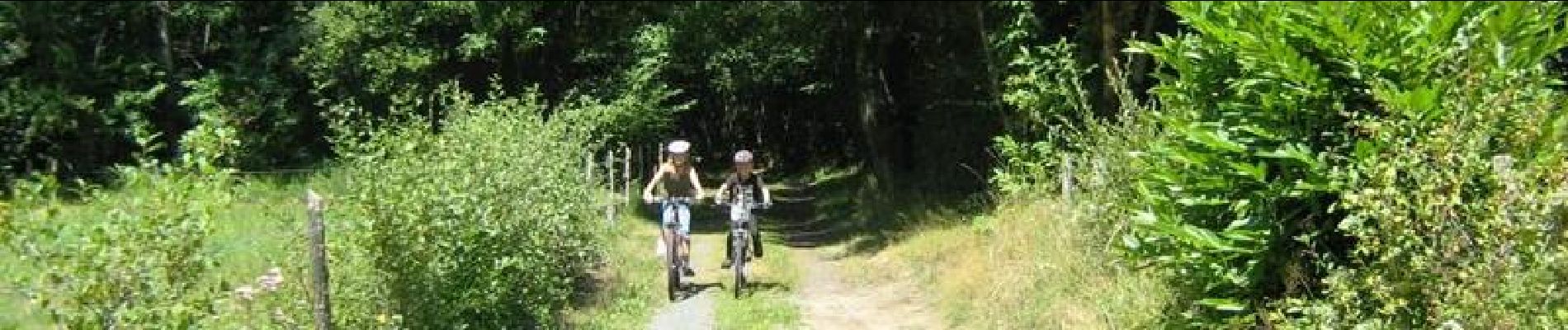 Trail Mountain bike Vignols - Le Bert - Vignols - Pays Vézère Auvézère - Photo