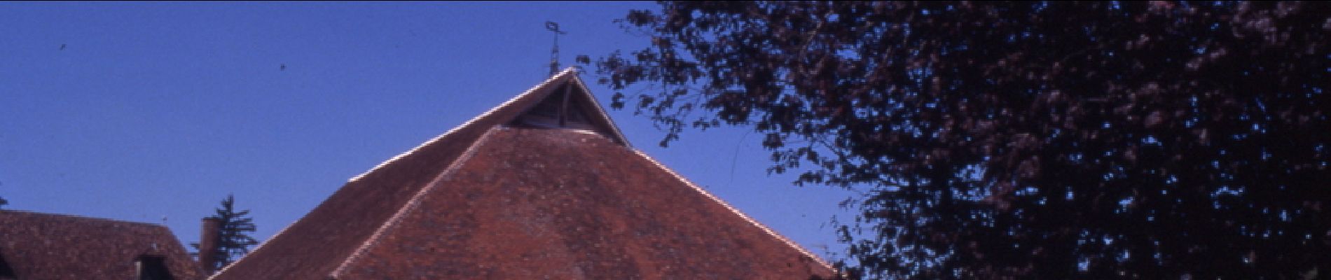 Tocht Fiets Piney - Les balcons du Parc - Piney - Photo