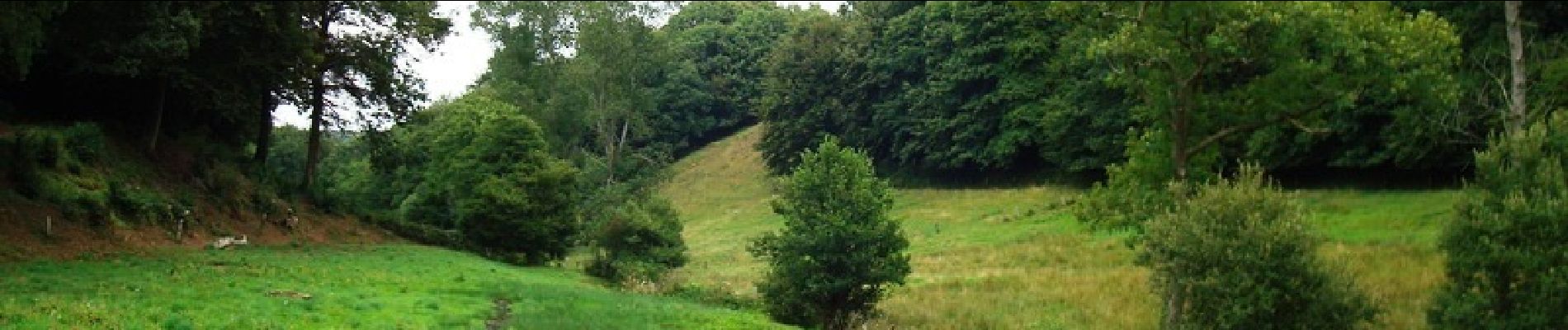 Tour Wandern Villedieu-les-Poêles-Rouffigny - Ceinture Verte - Villedieu les Poëles - Photo