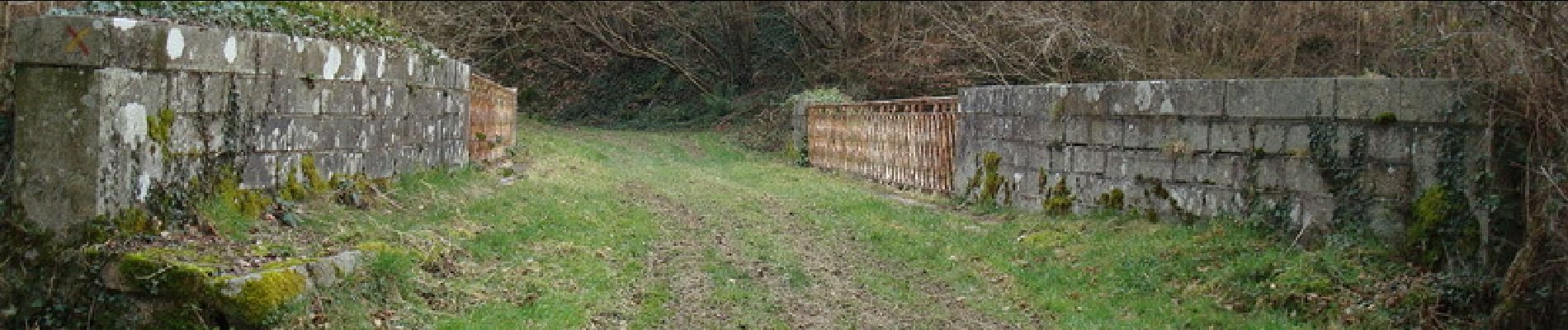 Tour Wandern Villedieu-les-Poêles-Rouffigny - Sur les traces des pèlerins 19km - Villedieu les Poëles - Photo