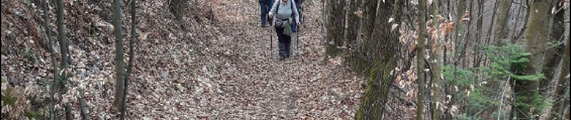 Trail Walking Saint-Amarin - 19.03.27.Samarie.Geishouse - Photo