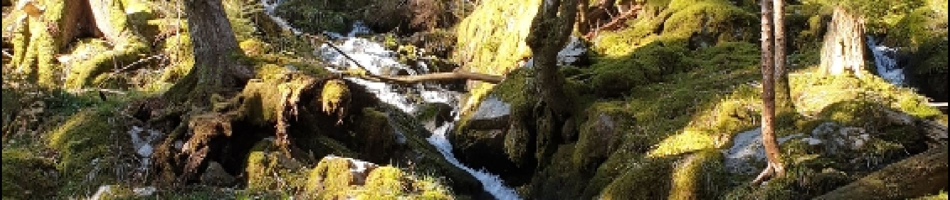 Tour Andere Aktivitäten Stoßweier - Stosswihr Falimont  - Photo