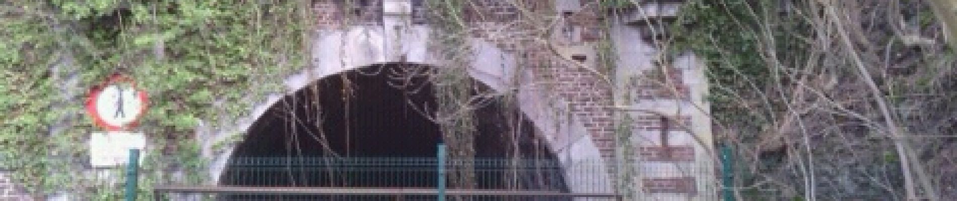 Punto di interesse Dalhem - Point 1 ancien tunnel trimbleu - Photo
