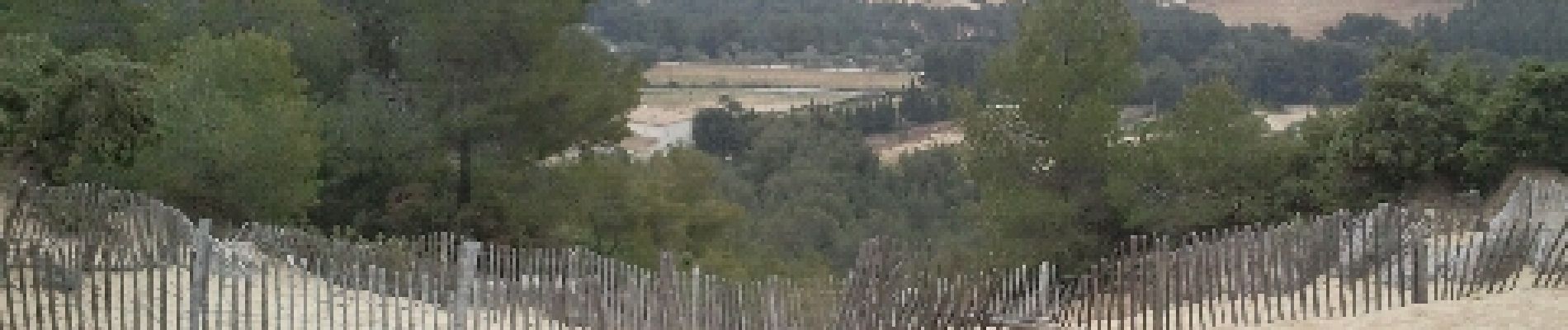 Punto de interés Saint-Cyr-sur-Mer - la dune de la Nartette  - Photo