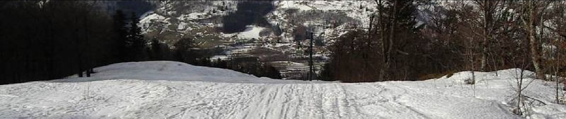 Tocht Sneeuwschoenen Bussang - La Tête de la Bouloie - Bussang - Photo