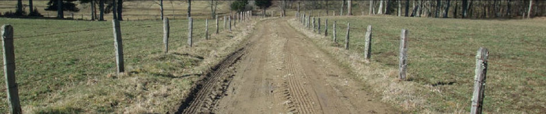 Tocht Stappen Tralaigues - La ferme de Pacros - Tralaigues - Photo