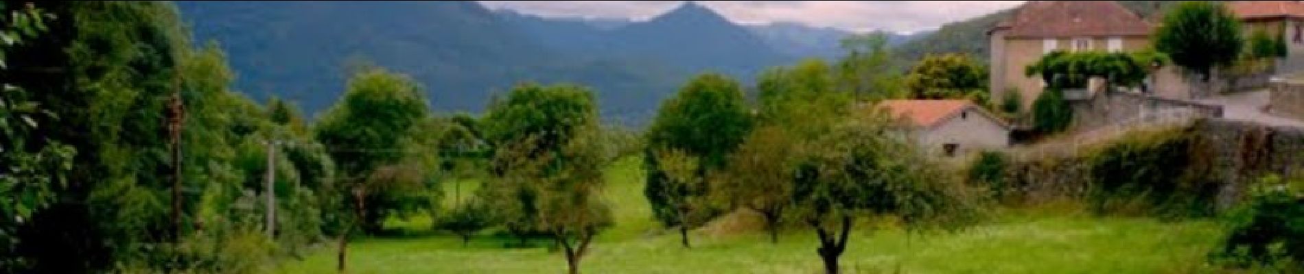 Excursión Senderismo Saint-Pé-d'Ardet - De St Pé d'Ardet à Génos par Lourde - Photo