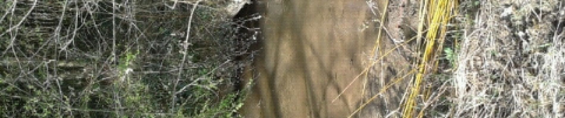 Punto di interesse Échenoz-la-Méline - Point 6 terrier de martin pêcheur - Photo