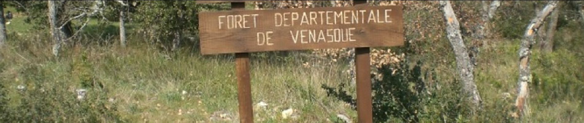 Excursión Bici de montaña Saint-Didier - La Roque - Le Beaucet - Forêt de Venasque - Photo