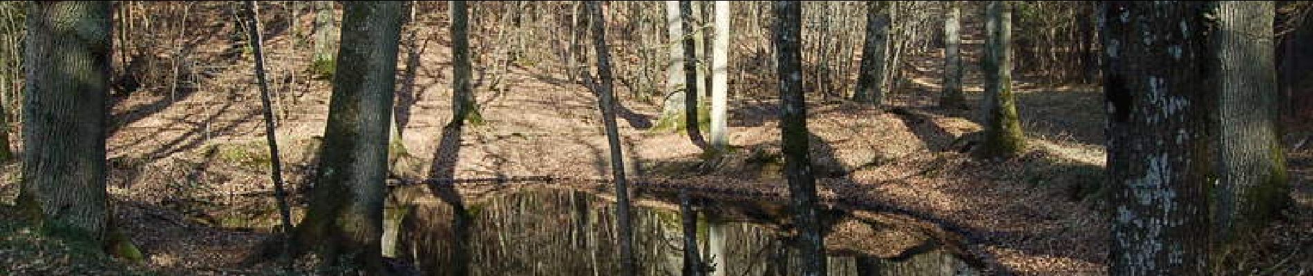 Tour Wandern Saint-Pierre-la-Bruyère - Randonnée à Saint Pierre la Bruyère - Photo