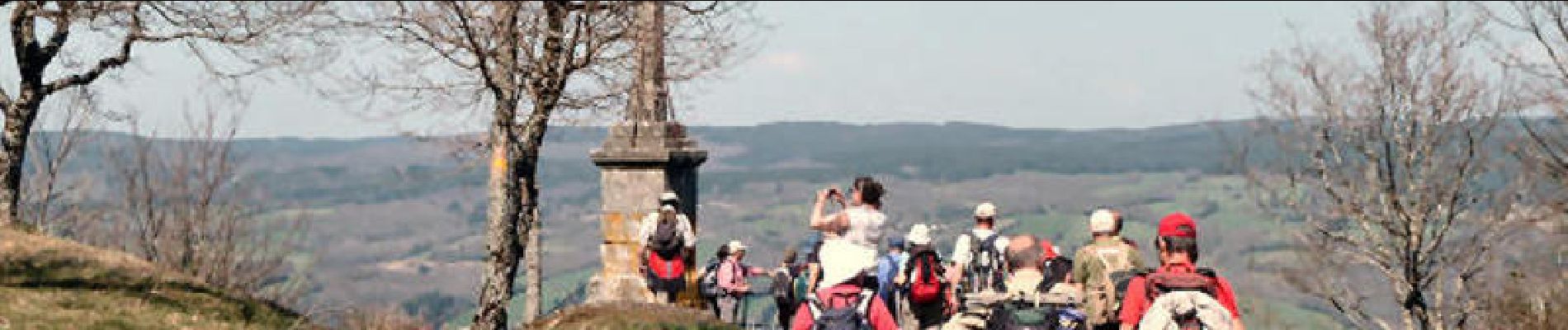 Tocht Stappen Saint-Amans-Soult - Le sentier des Gentilshommes Verriers - Saint Amand Soult - Photo