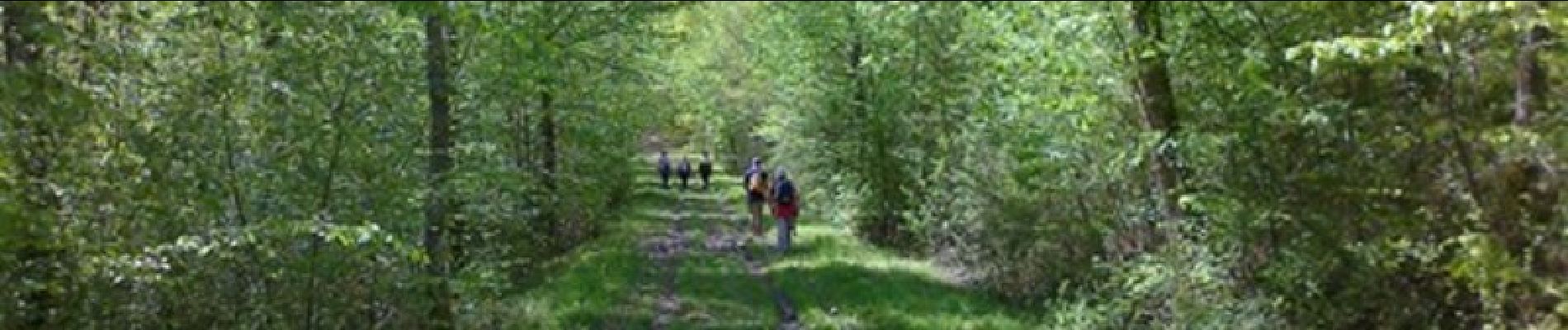 Trail Walking Curtil-sous-Buffières - Rando du 1er Mai - Curtil sous Buffières - Photo
