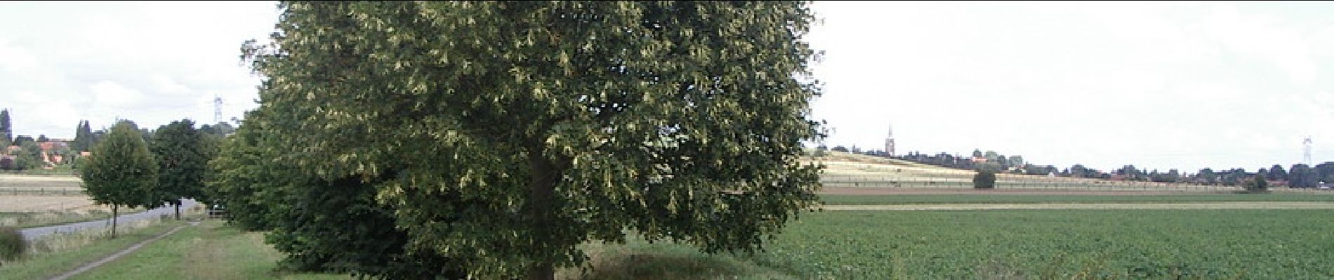 Randonnée Marche Avelin - La voie verte de la Pévèle - Avelin - Photo