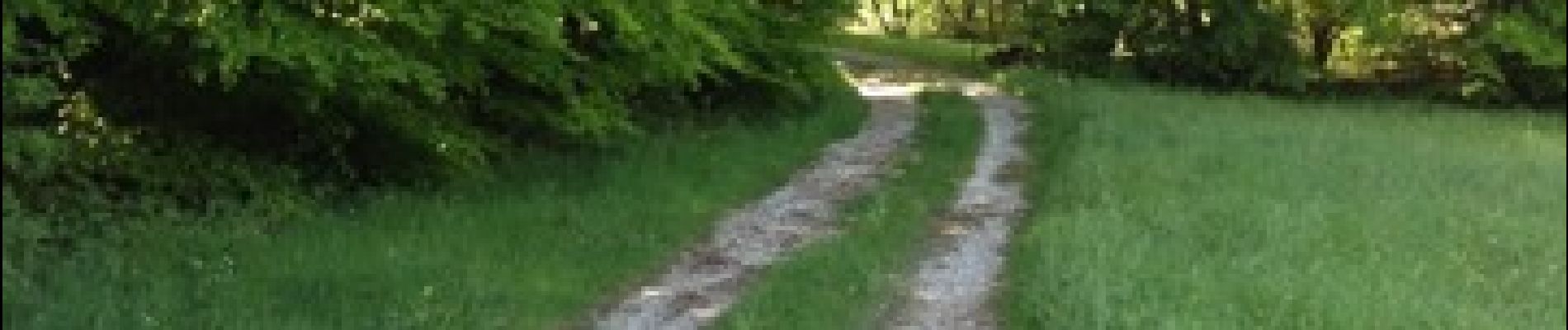 Tocht Lopen Lacabarède - la fontaine des 3 Évêques  - Photo