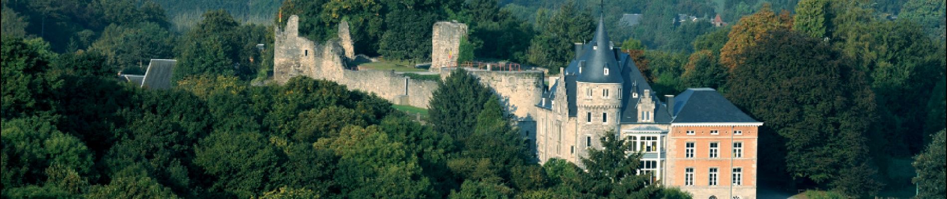 Point d'intérêt Rochefort - Vestige du château comtal - Photo