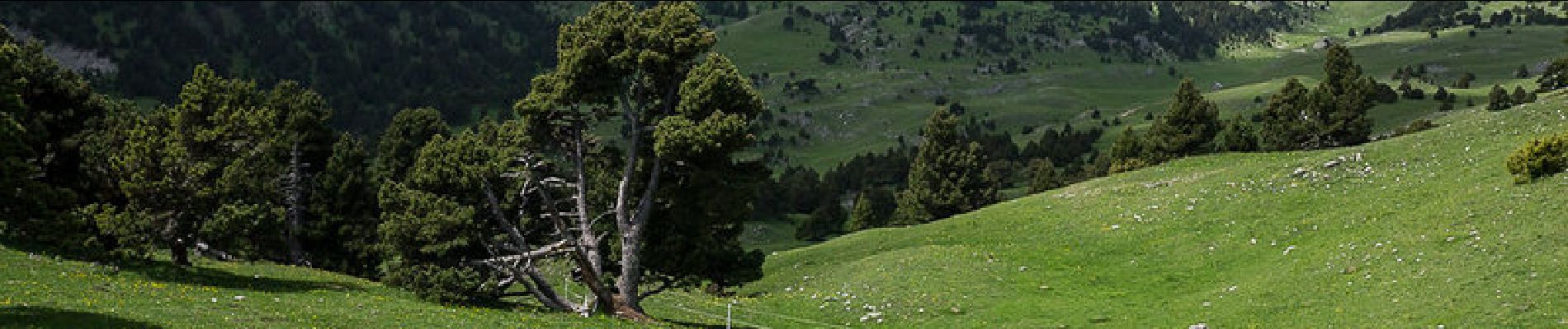 Tour Wandern Chichilianne - Traversée des Sommets de la Montagnette et du Ranconnet - Chichilianne - Photo