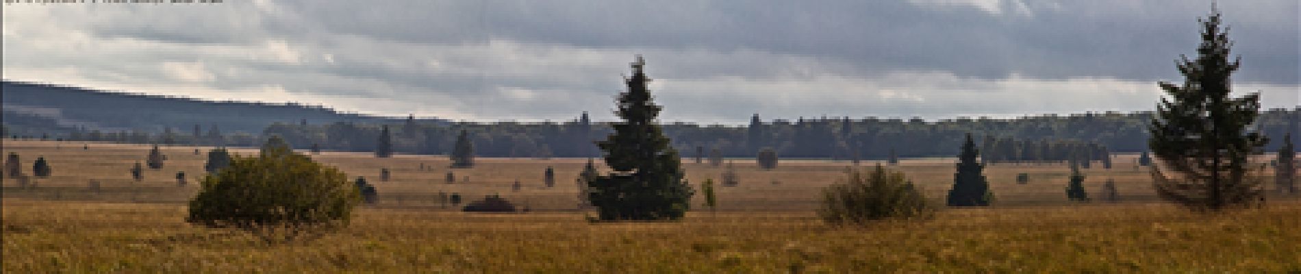 Punto de interés Baelen - Point de vue - Photo