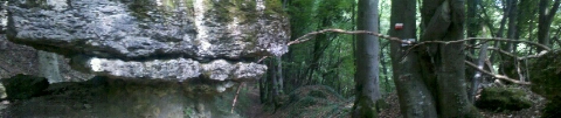Trail Walking Ancy-Dornot - Dornot - Croix saint clément - pierre qui tourne - rochers de la Fraze - Photo