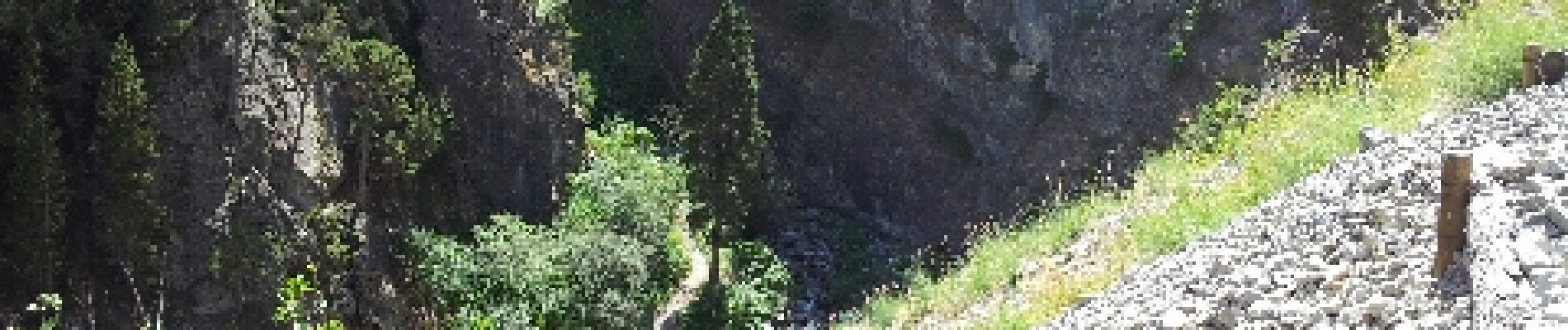 Point d'intérêt Césane - vue sur la gorge et le pont de rondin pour passer sur l'autre rive Point 3 - Photo