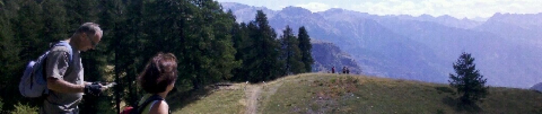 Percorso Mountainbike Puy-Saint-Vincent - Descente sur Les Vigneaux - Photo