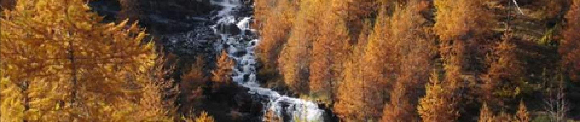 Punto di interesse Puy-Saint-Vincent - Les cascades - Photo