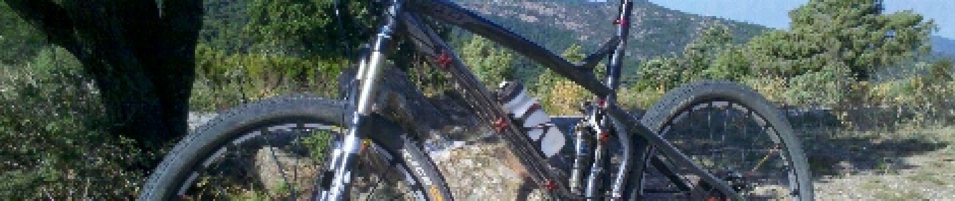 Excursión Bici de montaña Cogolin - Chartreuse - Treps - Photo