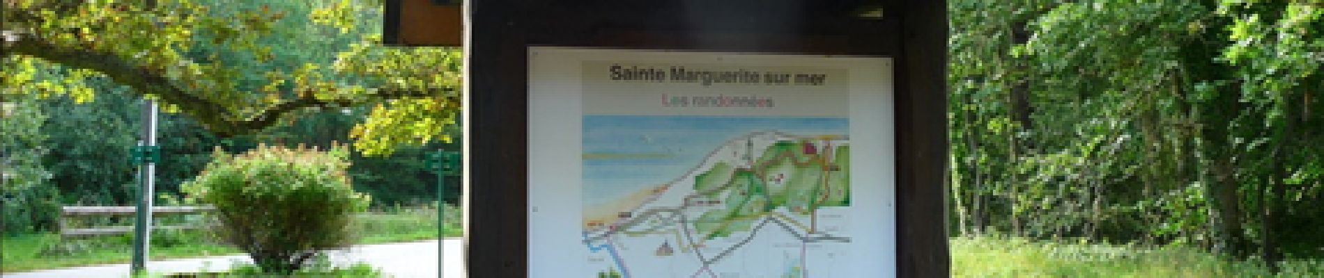 Point d'intérêt Sainte-Marguerite-sur-Mer - Vasterival - Photo