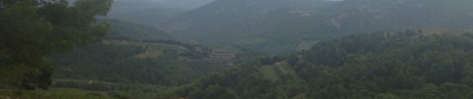 Percorso Marcia Beaumes-de-Venise - autour des dentelles de Montmirail - Photo