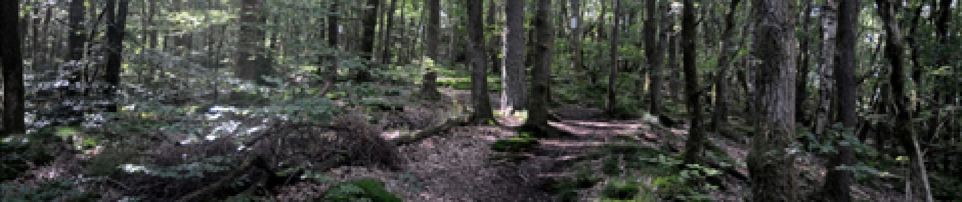 Randonnée Marche Vresse-sur-Semois - Bohan. Natura 2000, des sites qui valent le détour ! Na2 - Photo