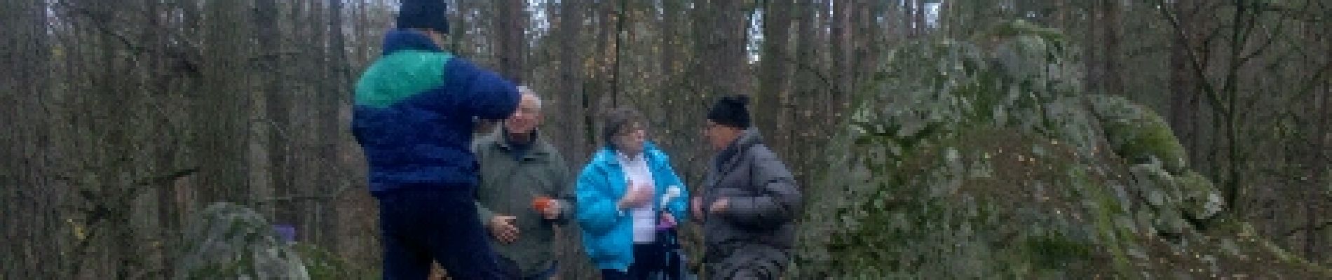 Punto de interés Fontainebleau - Crête de Marion des Roches - Photo