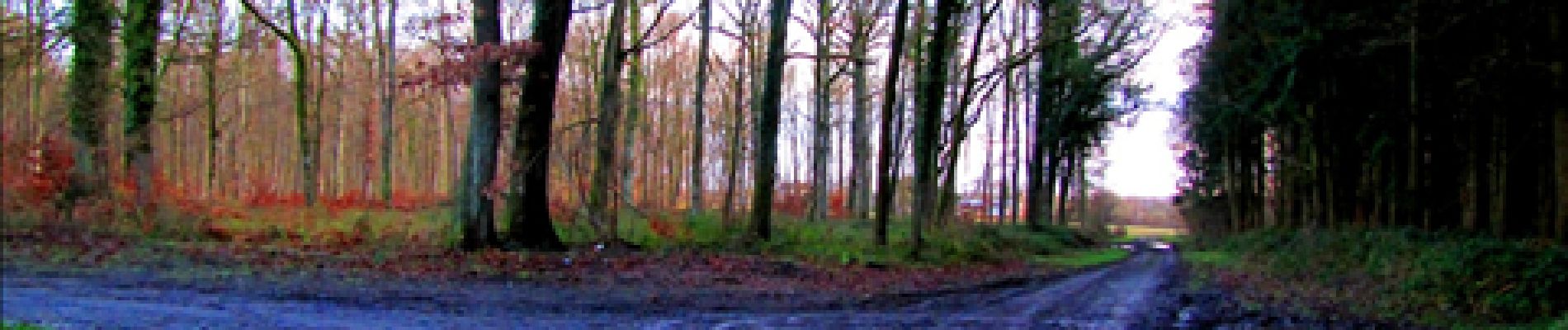 Tocht Stappen Longpont - en forêt de Retz_12_Longpont_etangs de  la Ramee_AR - Photo