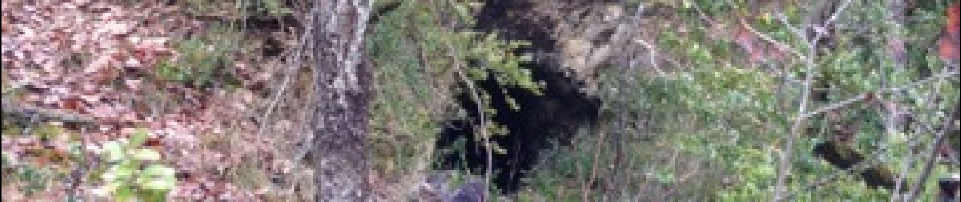Point d'intérêt Millau - grotte - Photo