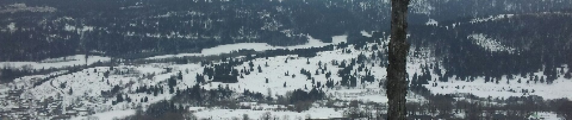 Tocht Sneeuwschoenen Albepierre-Bredons - Col et puy de Molède - Photo