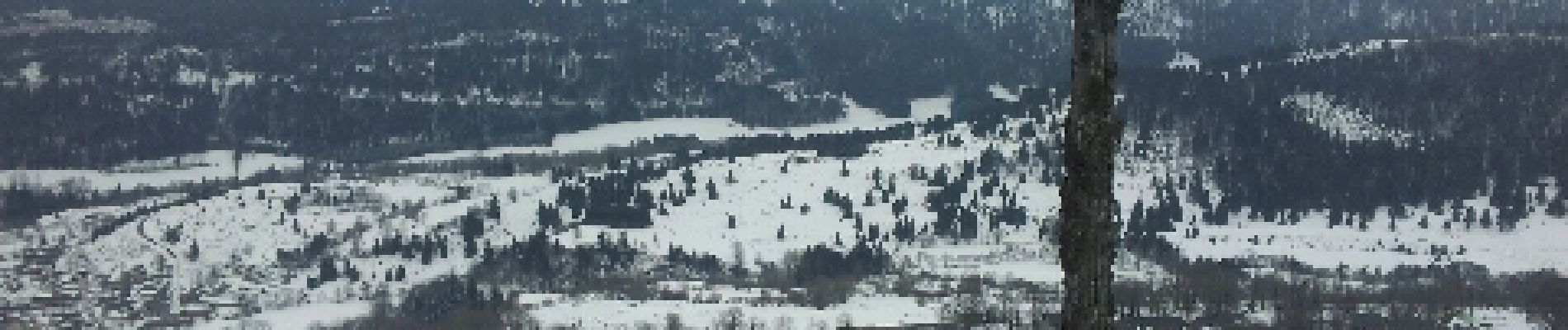 Randonnée Raquettes à neige Albepierre-Bredons - Col et puy de Molède - Photo