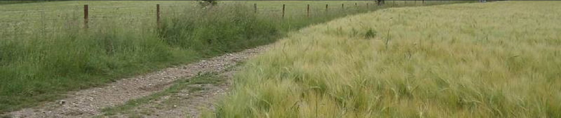 Tocht Stappen Londinières - Circuit de Londinières - Photo