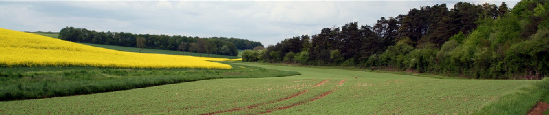 Excursión Bici de montaña Étourvy - Circuit des Coteaux - Etourvy - Photo