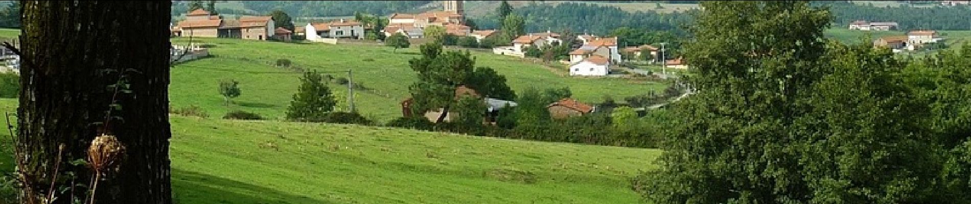 Tocht Mountainbike Bully - VTT à Bully - Le Trèfle Bullyçois (Boucle de 10 km) - Photo