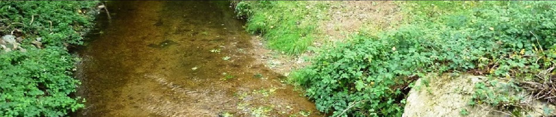 Randonnée V.T.T. Bully - VTT à Bully - Le Trèfle Bullyçois (Boucle de 20 km) - Photo