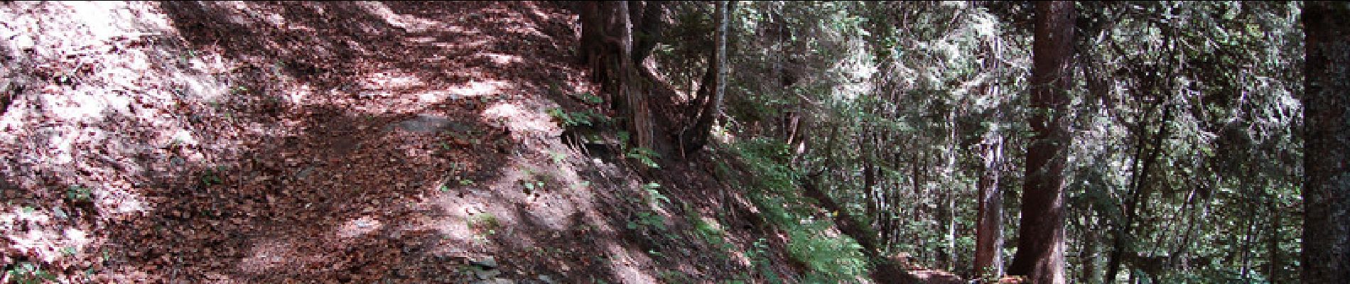 Tocht Stappen La Giettaz - Randonnée autour de La Giettaz - Photo