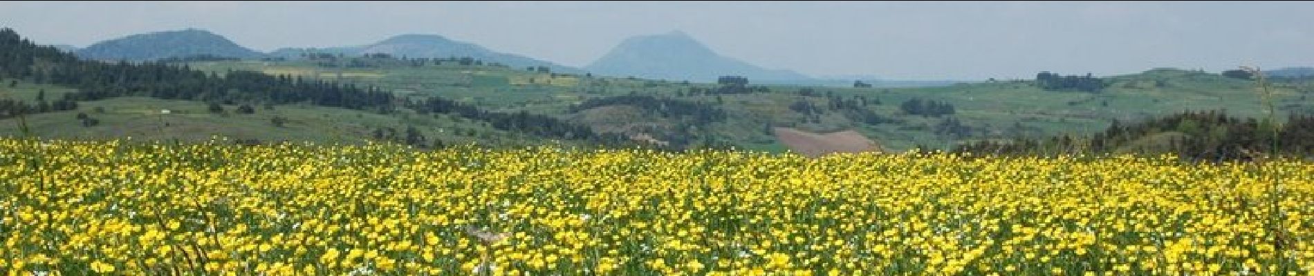 Tocht Stappen Aydat - Pierre Longue près de Cournols - Ponteix - Photo