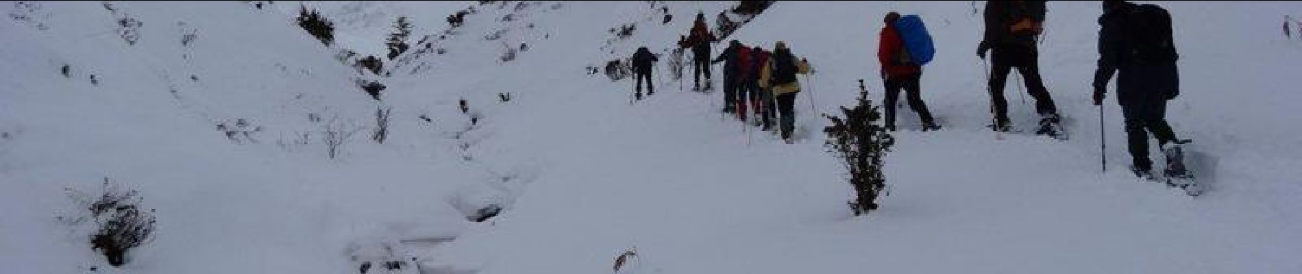 Trail Snowshoes Campan - Courtaou de Sarroua -  Campan - Photo