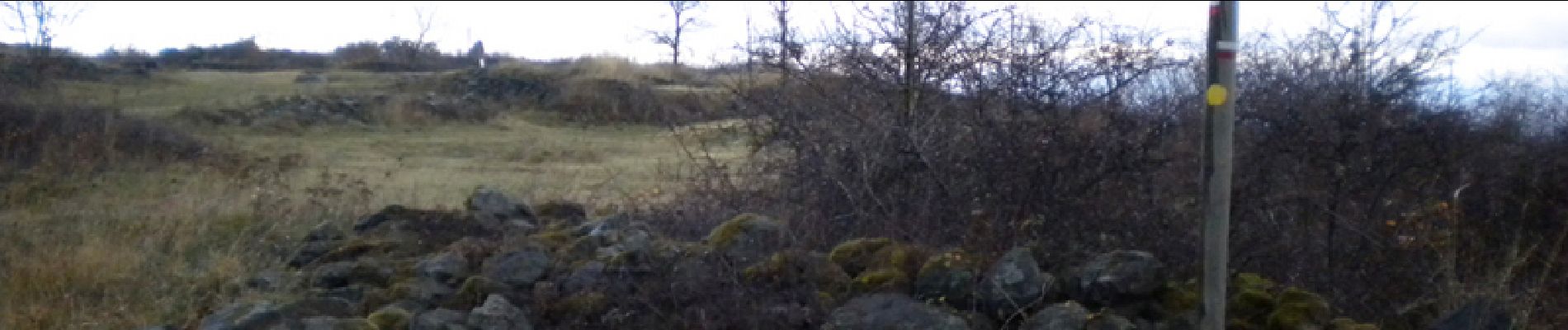 Tour Wandern Durtol - Les Côtes de Clermont - Durtol - Photo