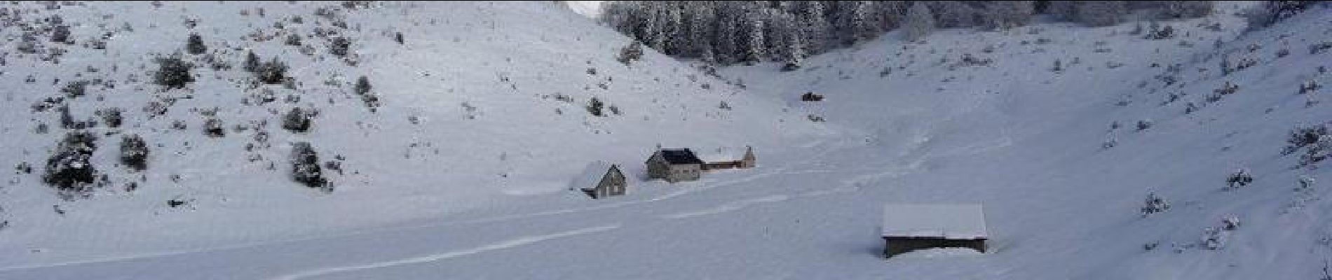 Tour Schneeschuhwandern Campan - Le Plo Del Naou - Payolle - Photo