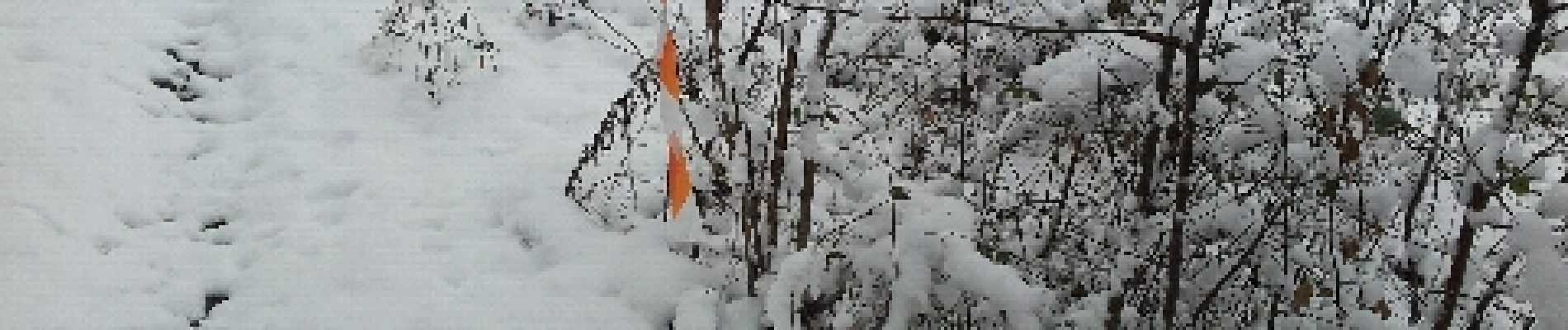 Tocht Sneeuwschoenen Archettes - le chenat raquettes - Photo